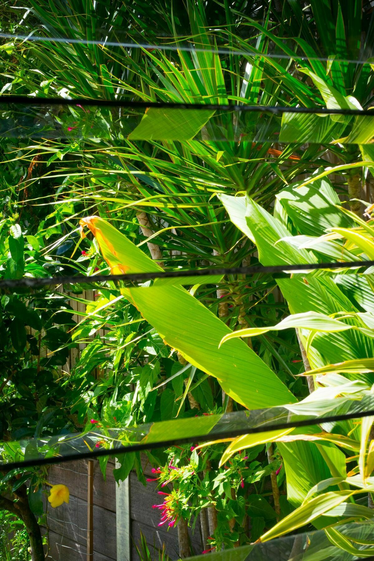 Ruskin House 4* Byron Bay