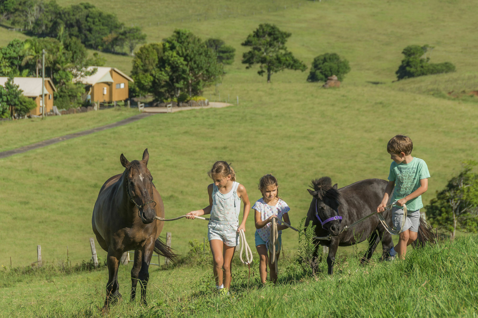 Farm Farm stay