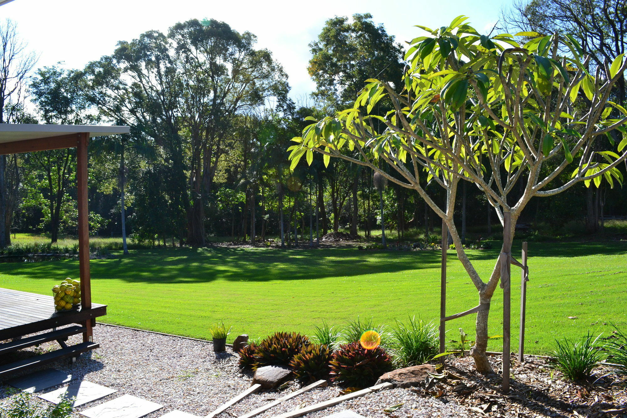 The Lily Pad At * Byron Bay