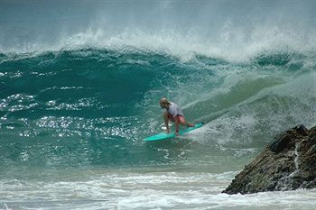 Hibiscus Byron Bay