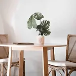Cape Byron Retreat (Adults Only)