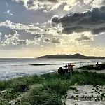 Lily Pad At Byron Bay