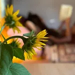 The Village Eco Stay Byron Bay