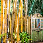 A Perfect Stay - Bamboo Beach House