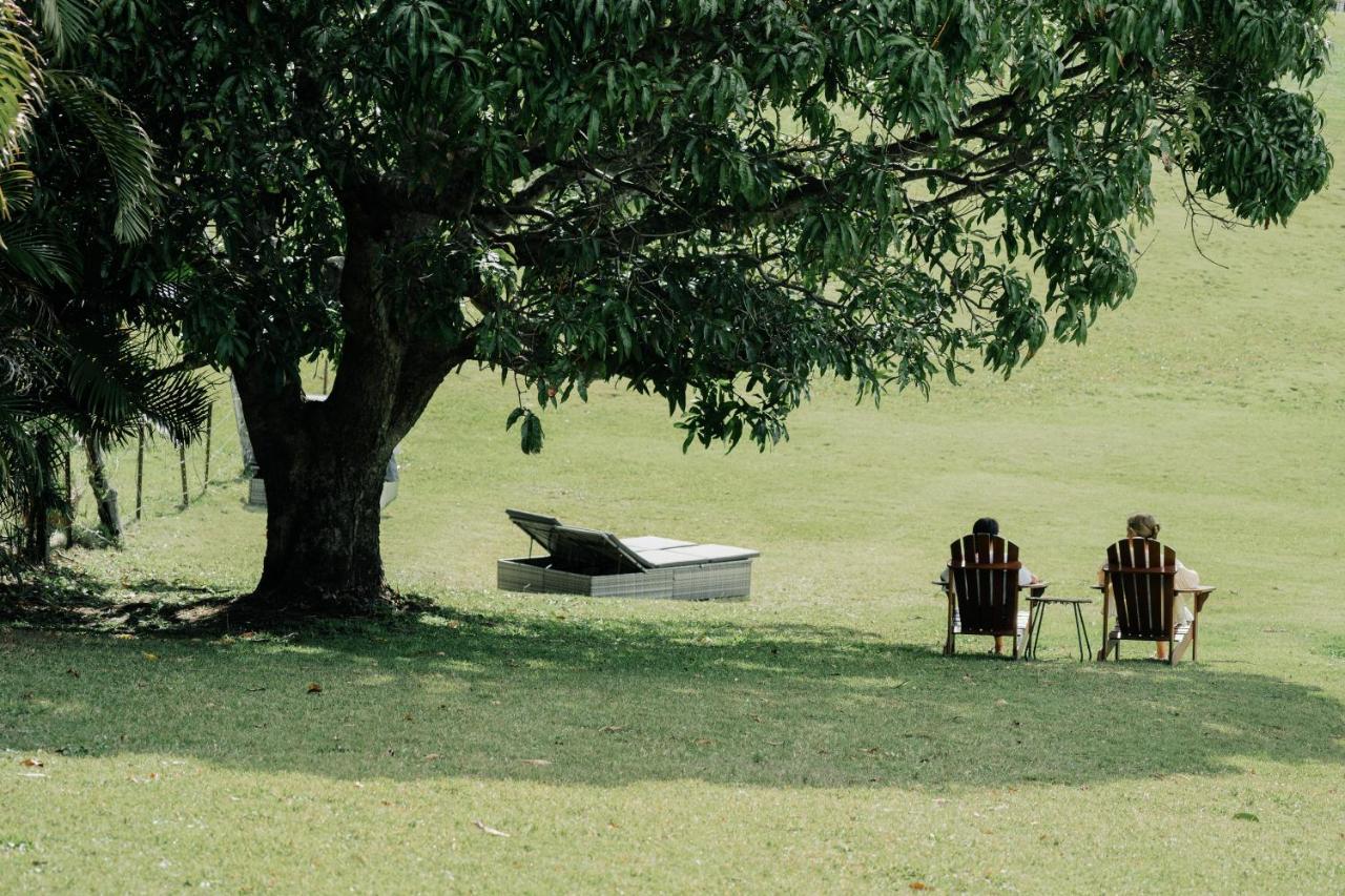 Cape Byron Retreat (adults Only)