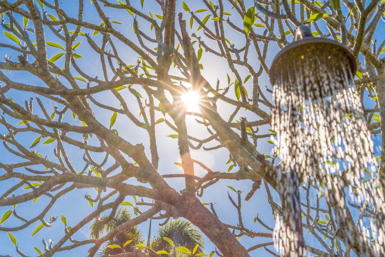 Sanctuary On Browning Holiday home Byron Bay