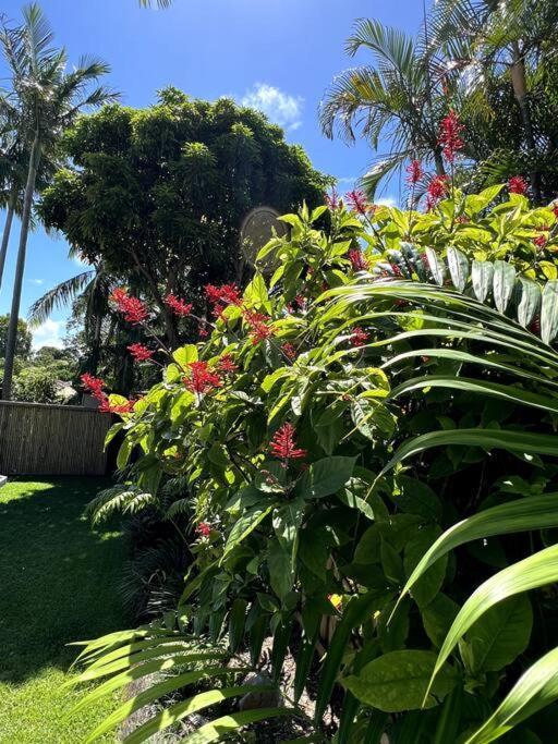 Holiday home Jungle - Pet-friendly Hot Tub, Firepit & Pool In Beachside Hideaway Byron Bay