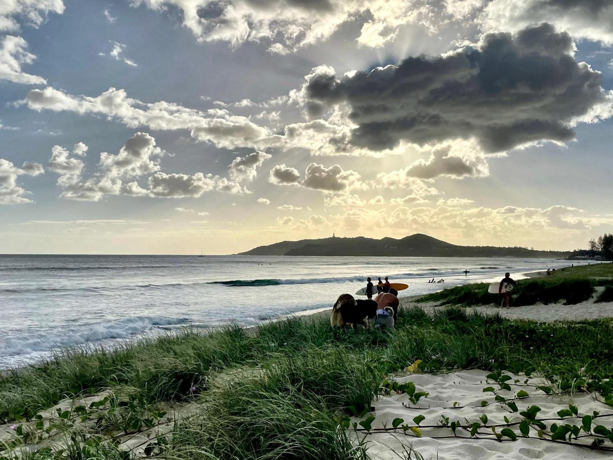 Lily Pad At Byron Bay