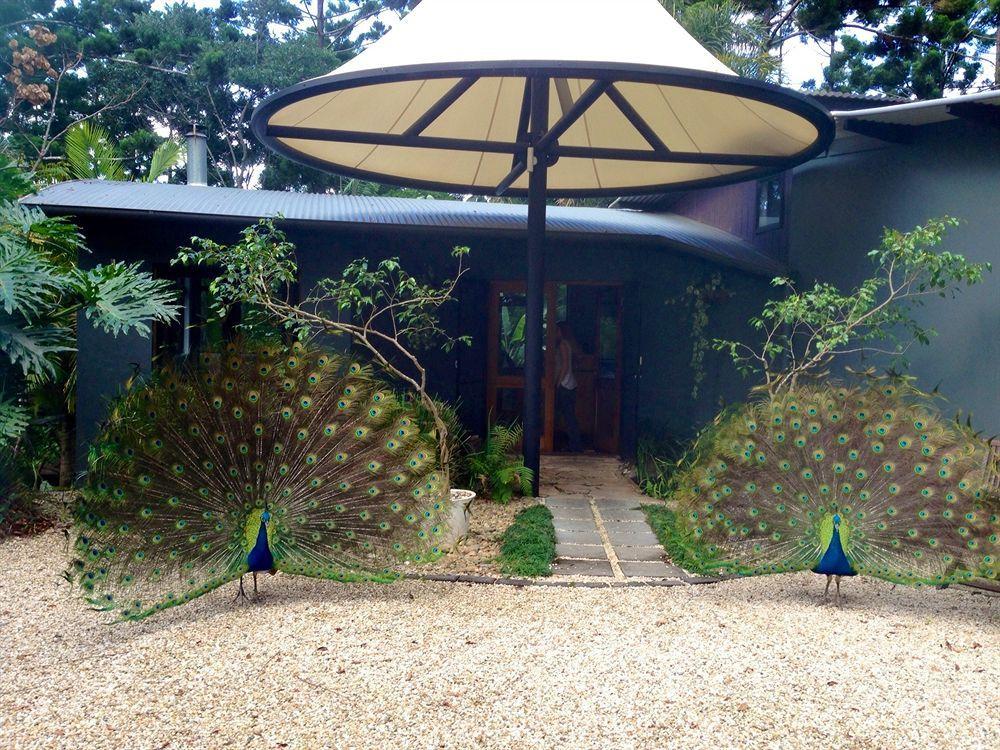Azabu Retreat & Guest house Byron Bay