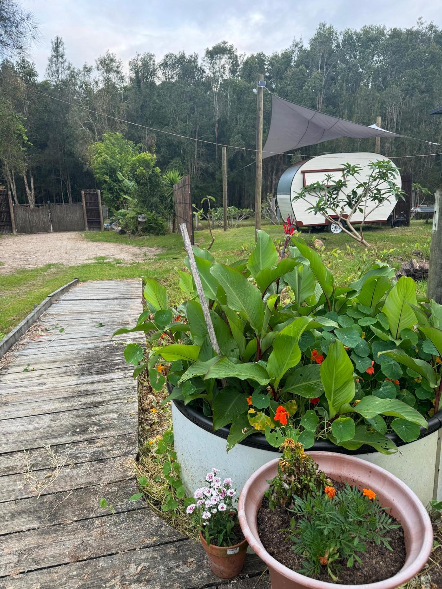 The Village Eco * Byron Bay
