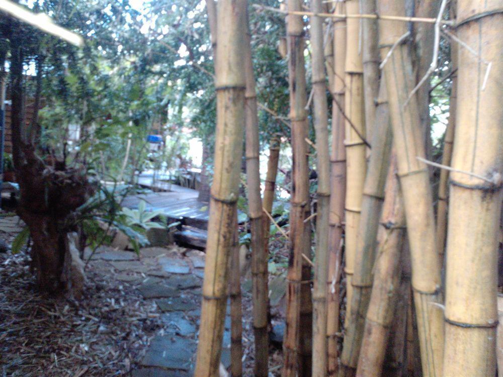 Hotel Bamboo Cottage Guesthouse B&B 3*