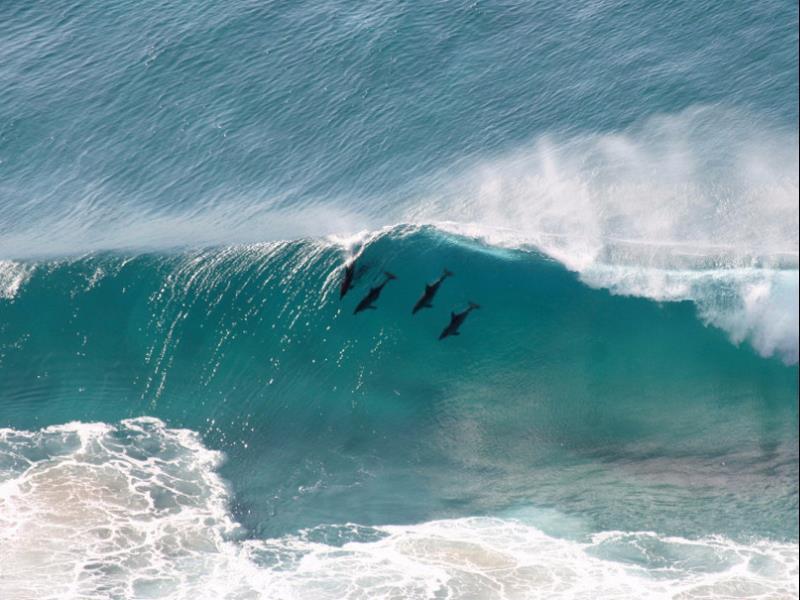 Four Winds Luxury Byron Bay