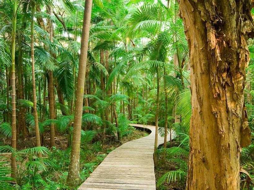 Rainforest 3* Byron Bay