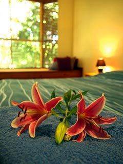 Planula Retreat 4* Byron Bay
