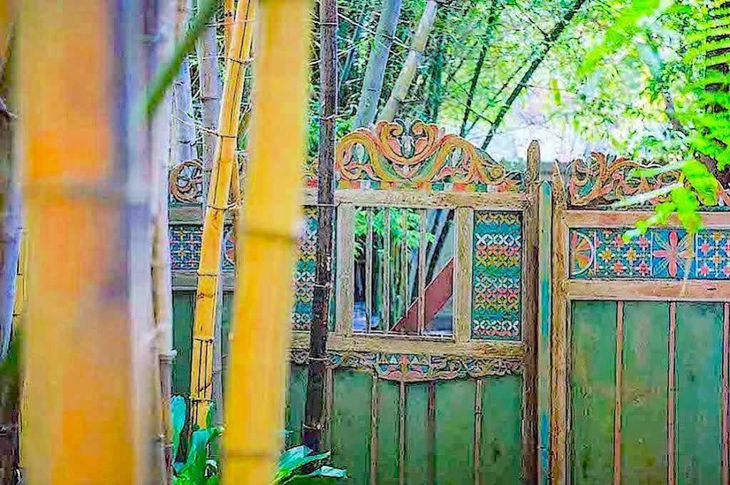 Hotel Bamboo Cottage Guesthouse B&B Byron Bay