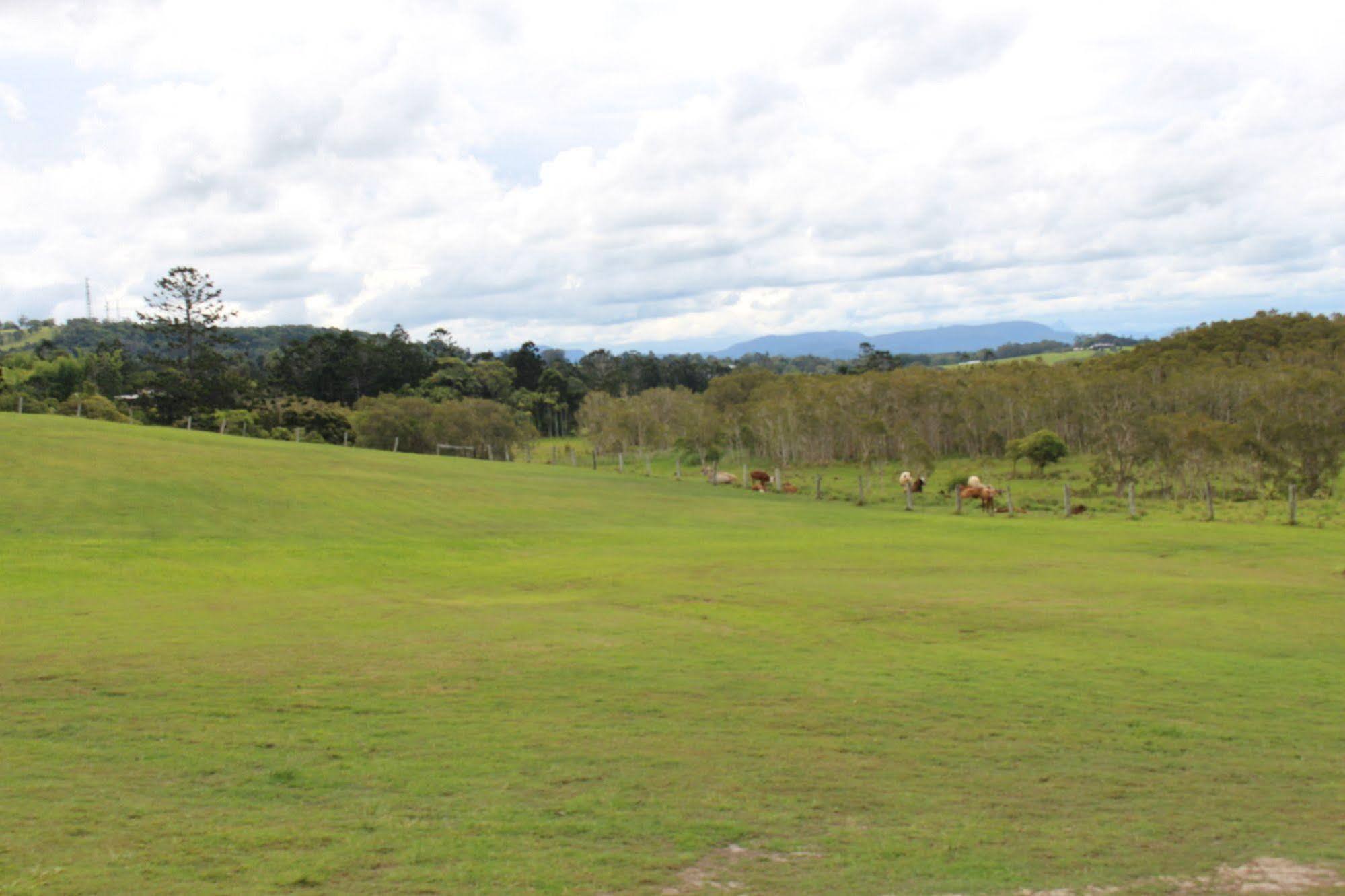 Cape Byron Retreat (adults Only) * Byron Bay