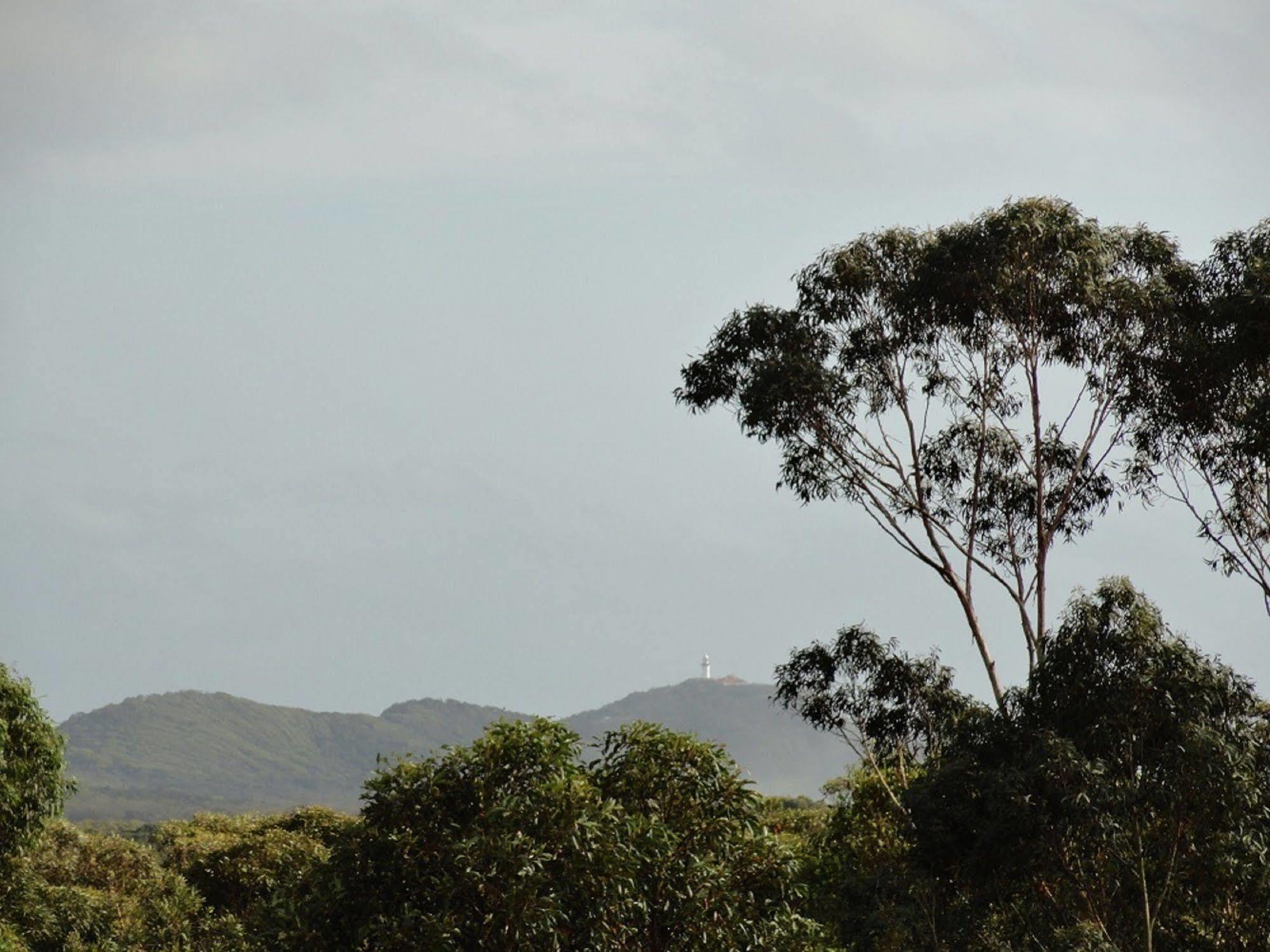 Jugoon * Byron Bay