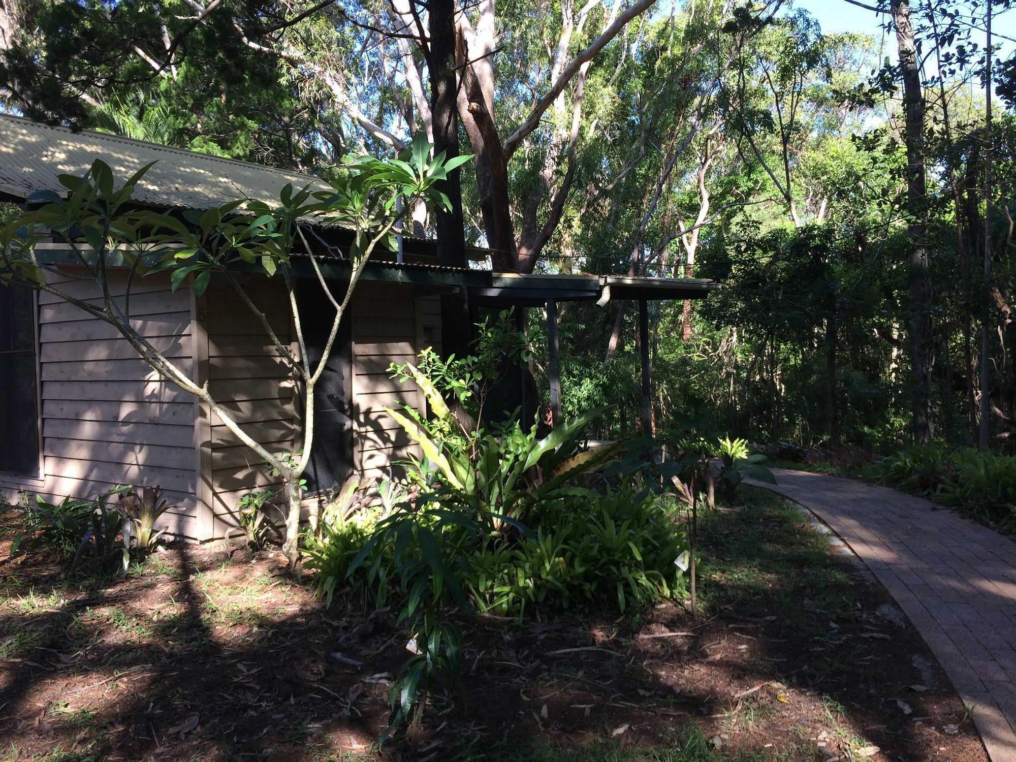 Rainforest 3* Byron Bay