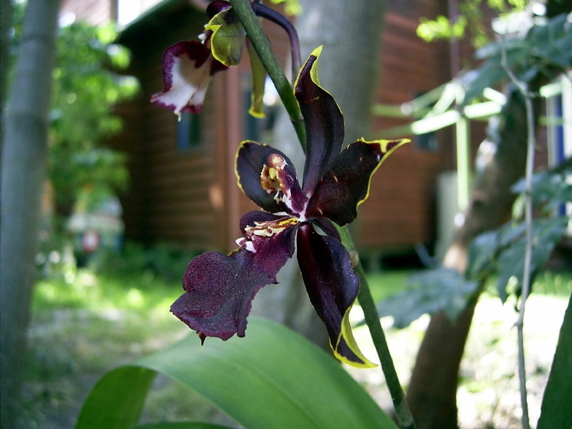 Bed & Breakfast Planula Retreat