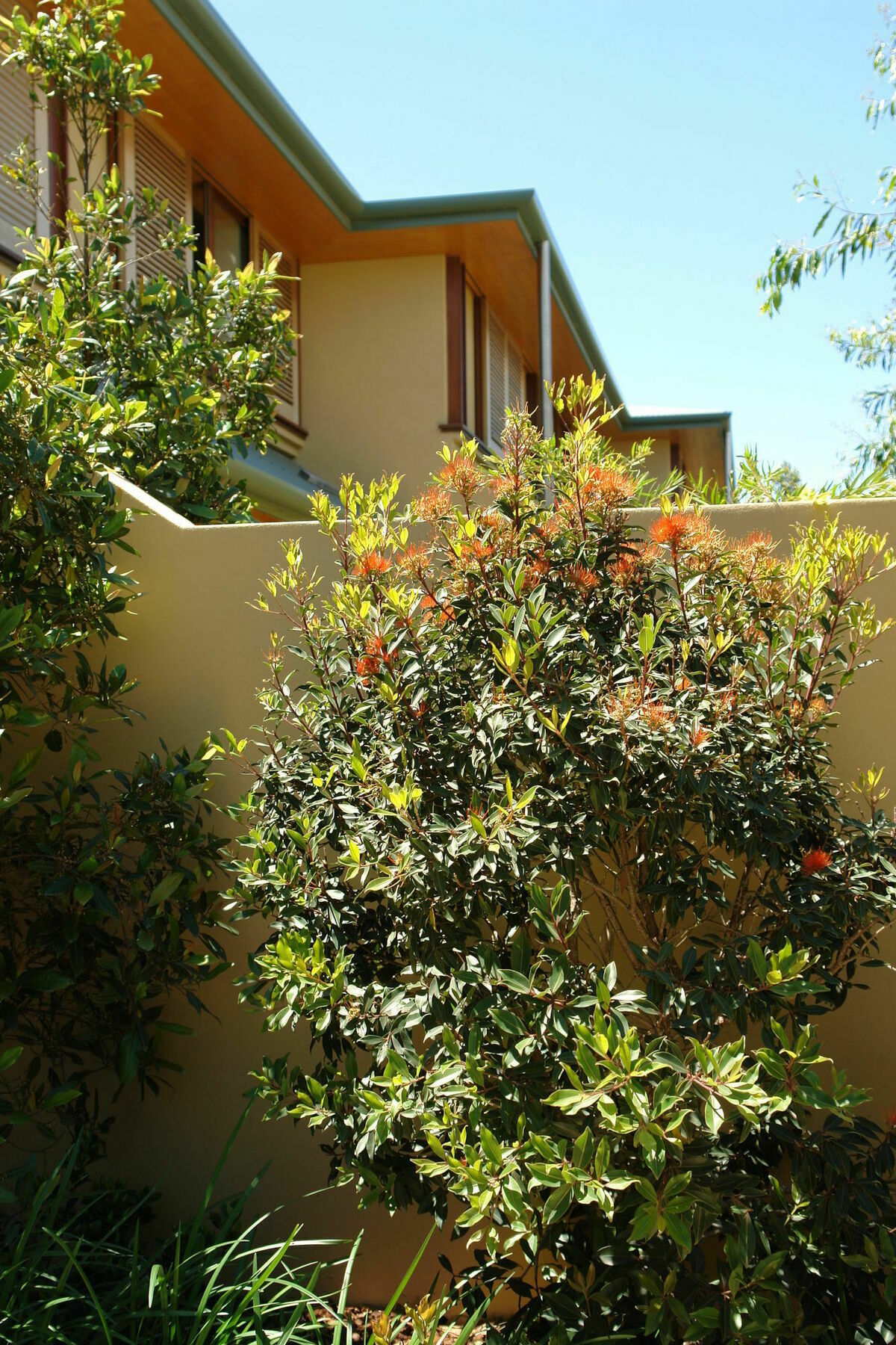 Beach Suites Hotel Byron Bay