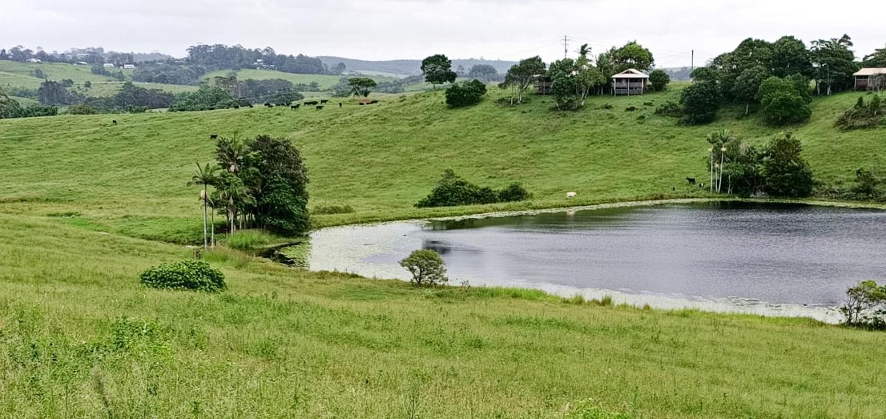 Farm * Byron Bay
